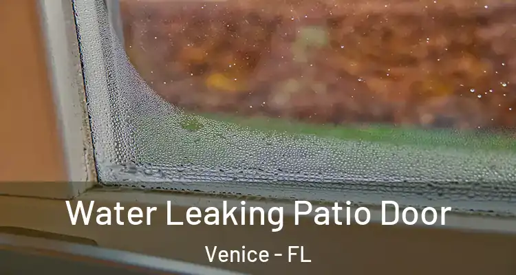  Water Leaking Patio Door Venice - FL